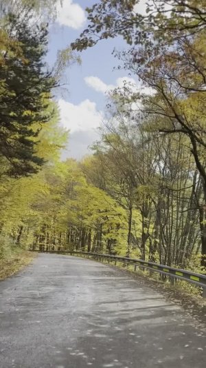 Дуэль-муз. и сл. Пётр Сёмин. исп. Алексей Макаренко