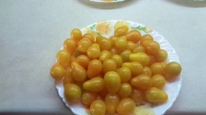 ТОМАТ МЕДОВАЯ КАПЛЯ - КАПЛИ СОЛНЦА В ВАШЕМ ОГОРОДЕ! №104 в моем каталоге. Обзор сорта.