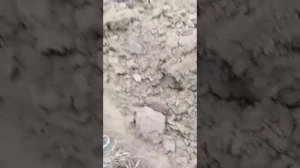 догружатель мтз