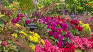 САДЫ США. ПРЕКРАСНЫЕ САДЫ И ЦВЕТНИКИ НЕВЕРОЯТНОГО  ОСТРОВА МАКИНО НА ОЗЕРЕ ГУРОН