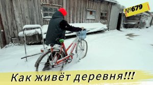 Как мы в деревне пережили первый снег и морозы. Быки и Поросята на улице. Жизнь в Омской деревне