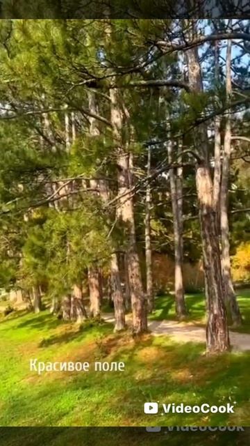 Массандровский дворец