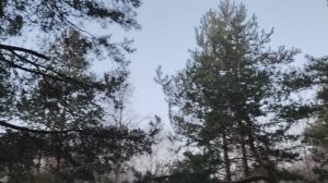 Что меня не устраивало в работе по найму в организации?