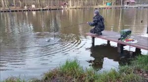 В актив работает как резина, так и железо. Клёвое место, Лосиный остров, верхний водоём.