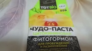 «Спичка, которая будит почки Секрет цитокининовой пасты для пышного кущения»