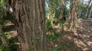 Астрахань 2025 - Часть 1