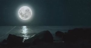 .... Что делает Луна с человеком....