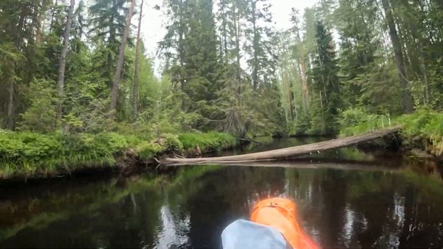 Соло сплав по р. Хейняйоки Южная Карелия 29.06-5.07.2025г. 2-я серия