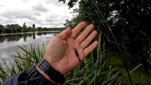 Жёсткий Кореец! JS Company Bixod N AJ3 S642UL