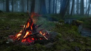 S.T.A.L.K.E.R.DayZ/4 СЕРИЯ СТРИМ