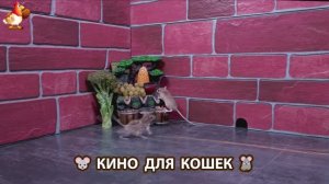 Видео для кошек про крысок развлекать питомцев 🐭🐀😂 (368)