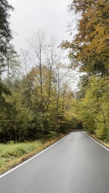 Напишите письмо-муз. и сл. Пётр Сёмин исп . Алексей Макаренко