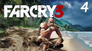 Far Cry 3  4