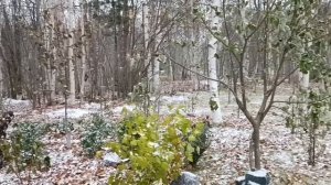 У нас кружится снег...Песня группы " Пламя".