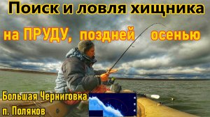 РЫБАЛКА НА СПИННИНГ НА ПРУДУ В САМАРСКОЙ ОБЛАСТИ/ЛОВЛЯ ЩУКИ И ОКУНЯ/БОЛЬШАЯ ЧЕРНИГОВКА, ПРУД ПОЛЯКОВ