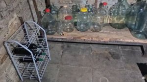 340. Ноябрь на Винограднике. Винный погребок.