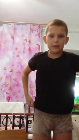 Раздаю игрушки