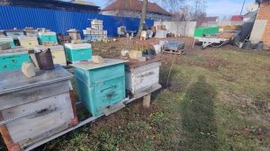 ф.66.   наверно в этом году крайней облёт.  08.11.2025.г