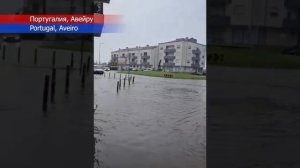 Новости Сегодня 08112025 - Катаклизмы ЧП События Дня Китай Россия США Европа Индия