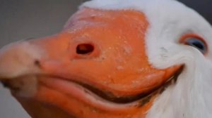 КАКУЮ ДВЕРЬ ОТКРИТЬ