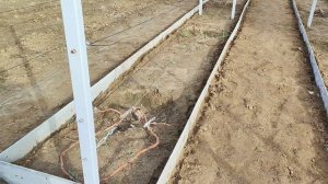 обзор участка глубокой осенью 08.11.2025