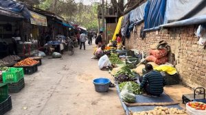 Взрыв Дели: Мусор, коровы и пыльный кошмар от Пахарганджа до Саддара