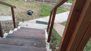 СОЧИ ГОРНОЕ ЛОО ВЕЧЕР 08.11.2025