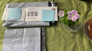 Пробую отправить заказ с семенами через Озон. Всхожесть томатов при тестировании. Препарат от мушек