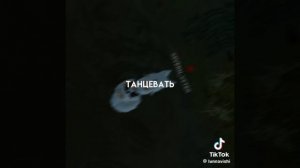 я имею право быть ху*вым...