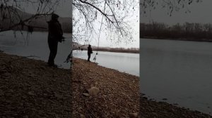 Погода нам не почём, мы на р. Абакан клюём🤭🎣