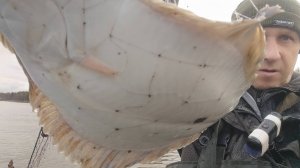 Беломорская рыбалка на камбалу! НЕСУ РЫБУ ДВУМЯ РУКАМИ!