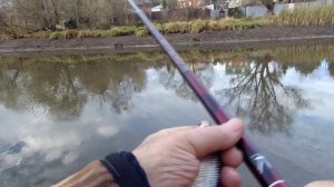 Ловля предзимней рыбки, на реке Десне, в проводку!