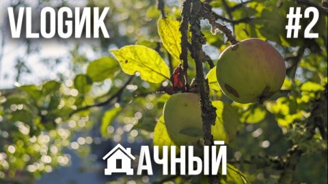 ДАЧНЫЙ VLOGик #2. НАБРАЛИ ВЕДРО ОПЯТ. ДАЧНАЯ МОДА С КРИСТИНОЙ. ОБЗОР ОГОРОДА. ПЕСНИ ПОД ГИТАРУ