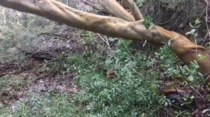 +Важно. ЖИЗНЬ В ЗАТВОРЕ  фильм м. Салафиила (Филипьева)