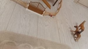 Обзор на леваду для конкура и выездки (Шляйх)