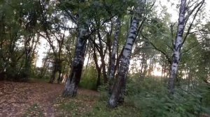 1000009130.mp4.   " что же делать , Я не знаю , жизнь как будто дребедень...