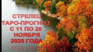 СТРЕЛЕЦ ТАРО-ПРОГНОЗ С 11 ПО 20 НОЯБРЯ 2025 ГОДА