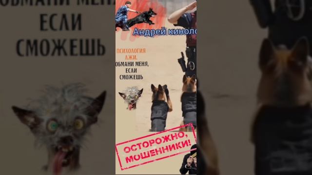 Психологическая помощь мошне. смотреть онлайн