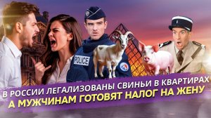 Цепная реакция безумия: От Windows 2000 в Лувре и свиней в квартирах до зарплаты жене за борщ