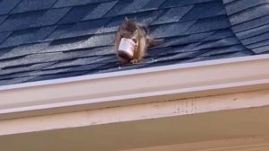 Мечты сбываются, наконец-то нашла ореховый концентрат🌰😄