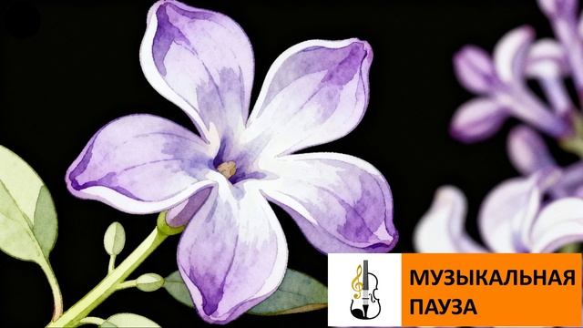 Пять лепестков