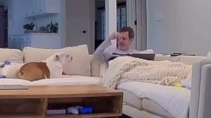 Слюнявый лай💦😂