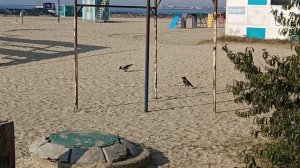 АНАПА. 
7 НОЯБРЯ 2025.