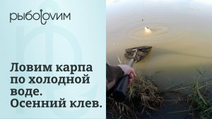 Ловим карпа осенью по холодной воде.  Отличный клев и карпфишинг в ноябре.