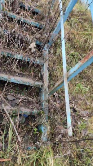 сталкеры первая часть