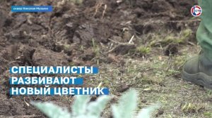 В сквере Николая Музыки разбили новый цветник