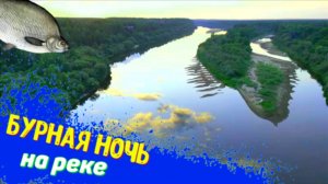 Рыбалка на фидер — КРУПНЫЙ ЯЗЬ и ЛЕЩ по ЛОКОТЬ! ЖИРНАЯ Сопа Ночью! Клёв, как в сказке!