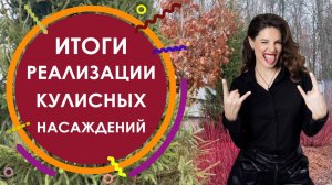 Итоги реализации кулисных насаждений