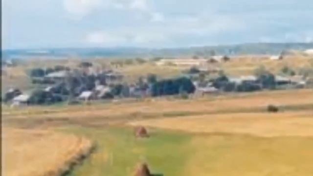 Что такое перепись населения Для чего нужна перепись смотреть онлайн