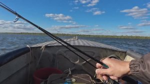 Астрахань. Окунь на каждом забросе.